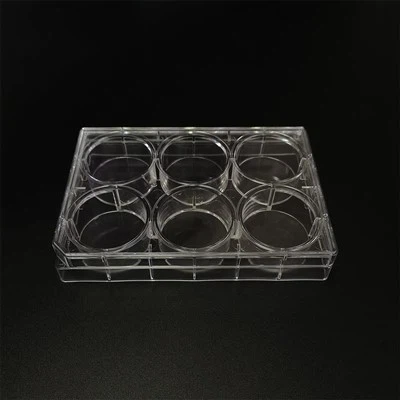 6-dołkowa płytka do hodowli komórkowych